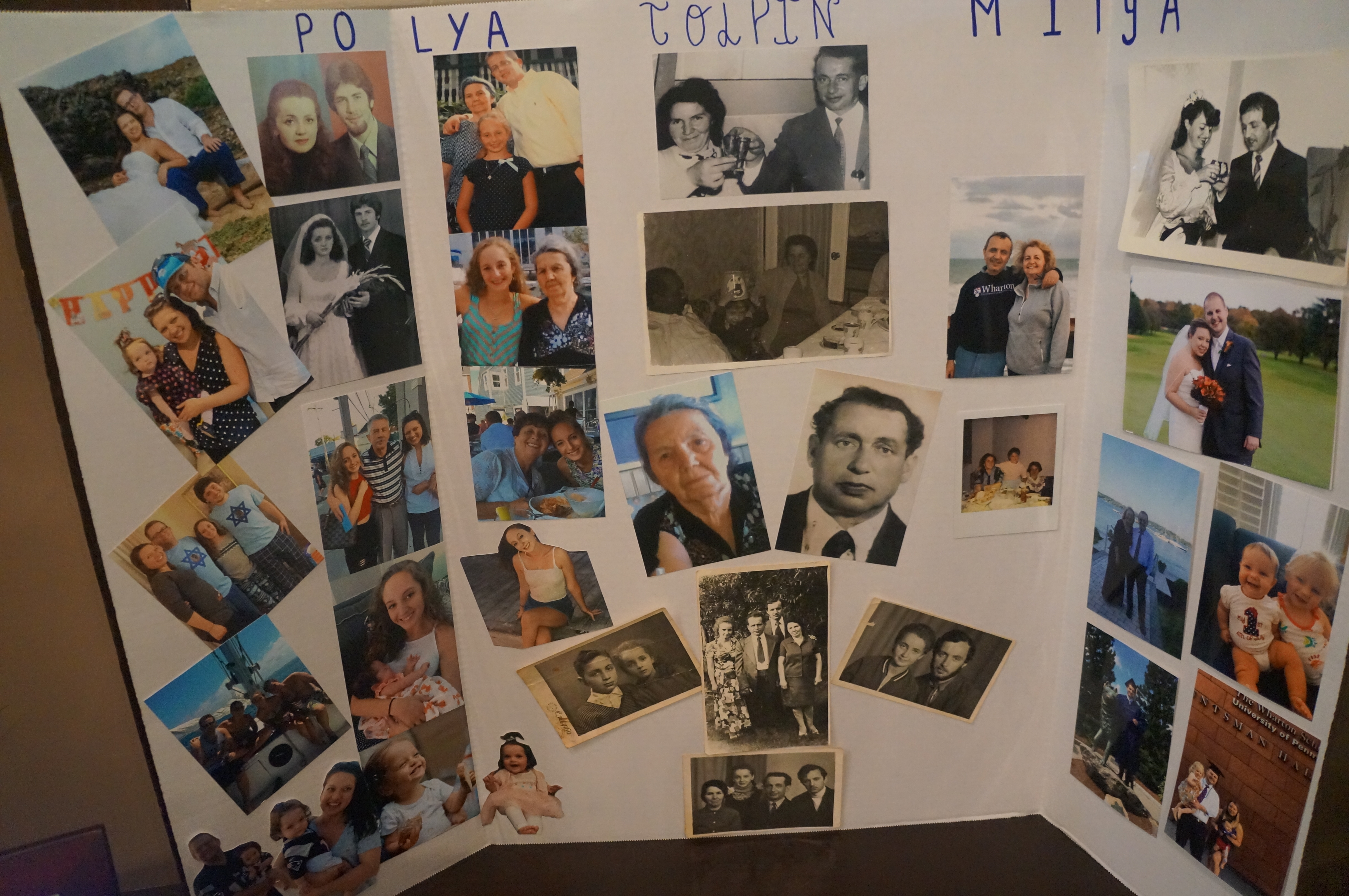 Polya-Mitia photos